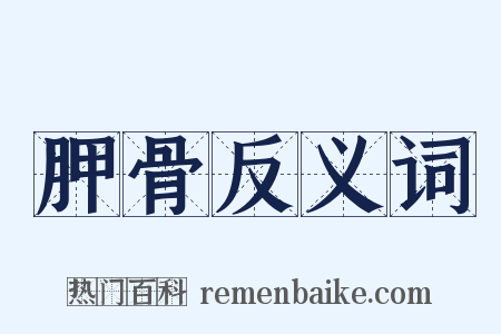 胛骨反义词是什么意思的图片